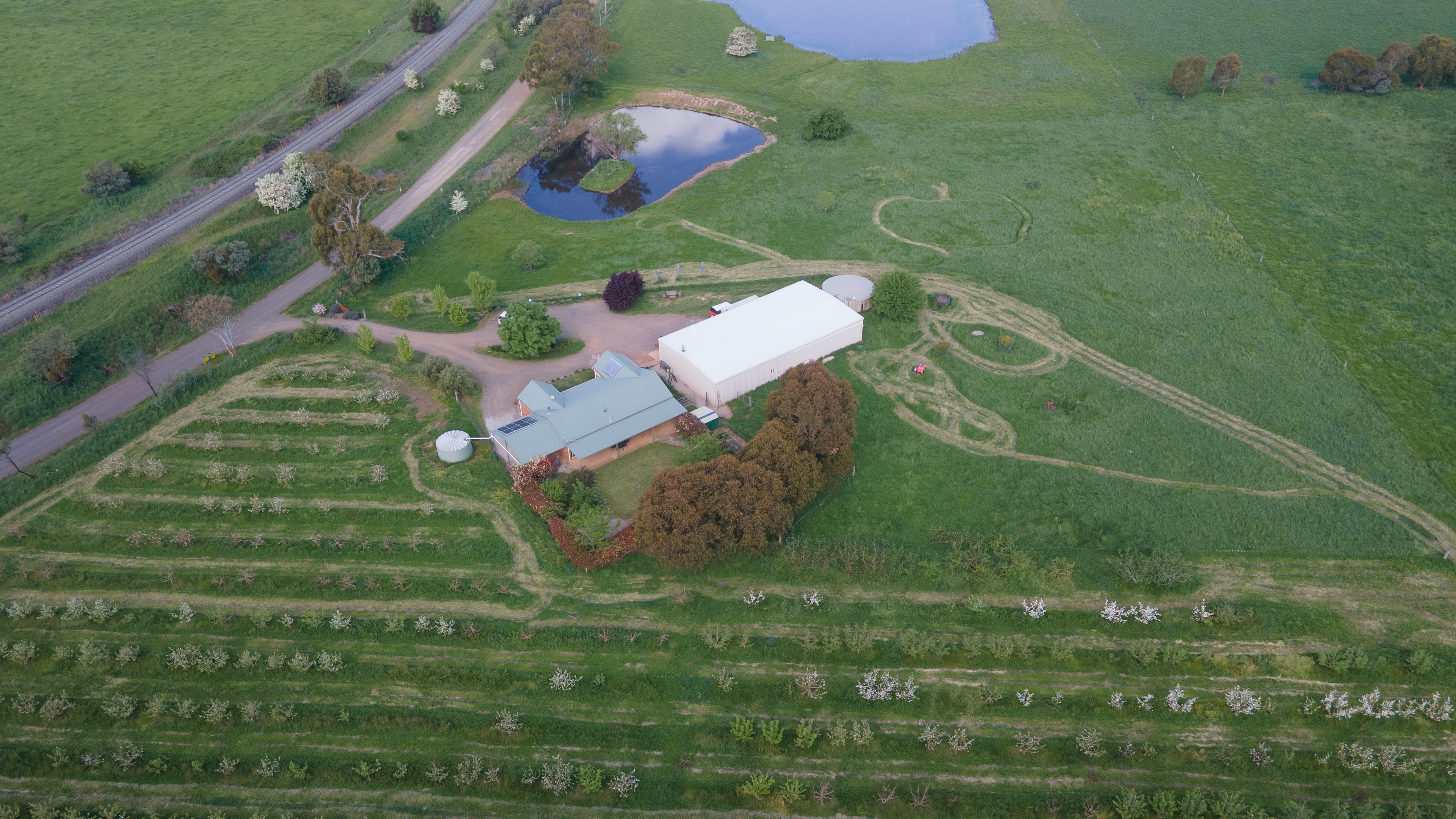 An aerial shot of Small Acres Cyder including the cider apple Orchard, the cidery, Small Acres Cottage and two dams. The surrounding paddocks are lush and green.