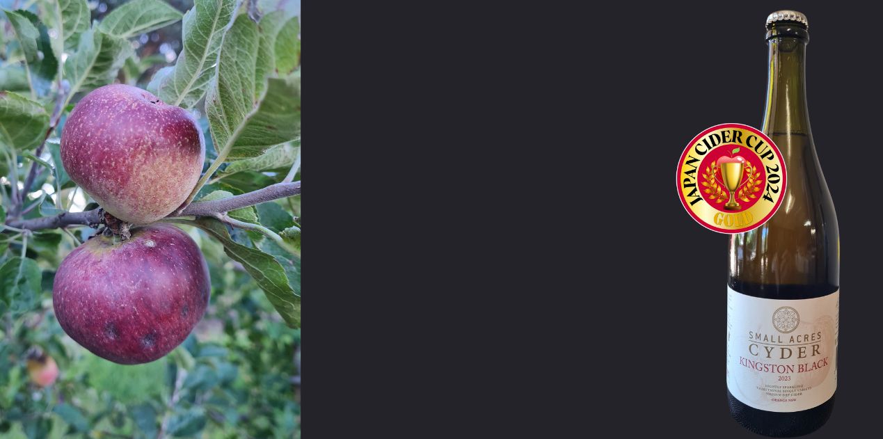 2 Kingston Black apples pictured on a tree, a bottle of Small Acres Kingston Black 2023 cider and a Japan Cider Cup 2024 Gold Medal Award Sticker