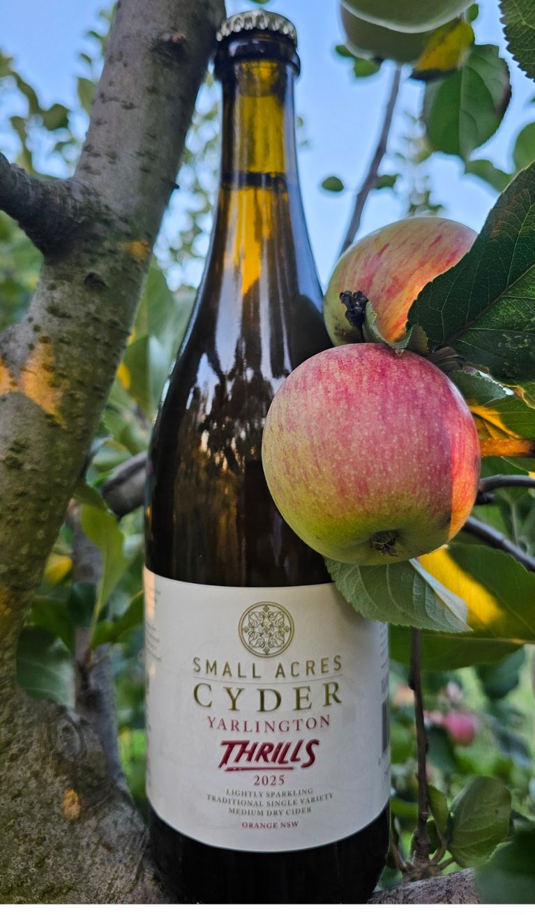 A 750ml bottle of Yarlington Thrills cider is pictured on the branch of a tree with two apples in front.