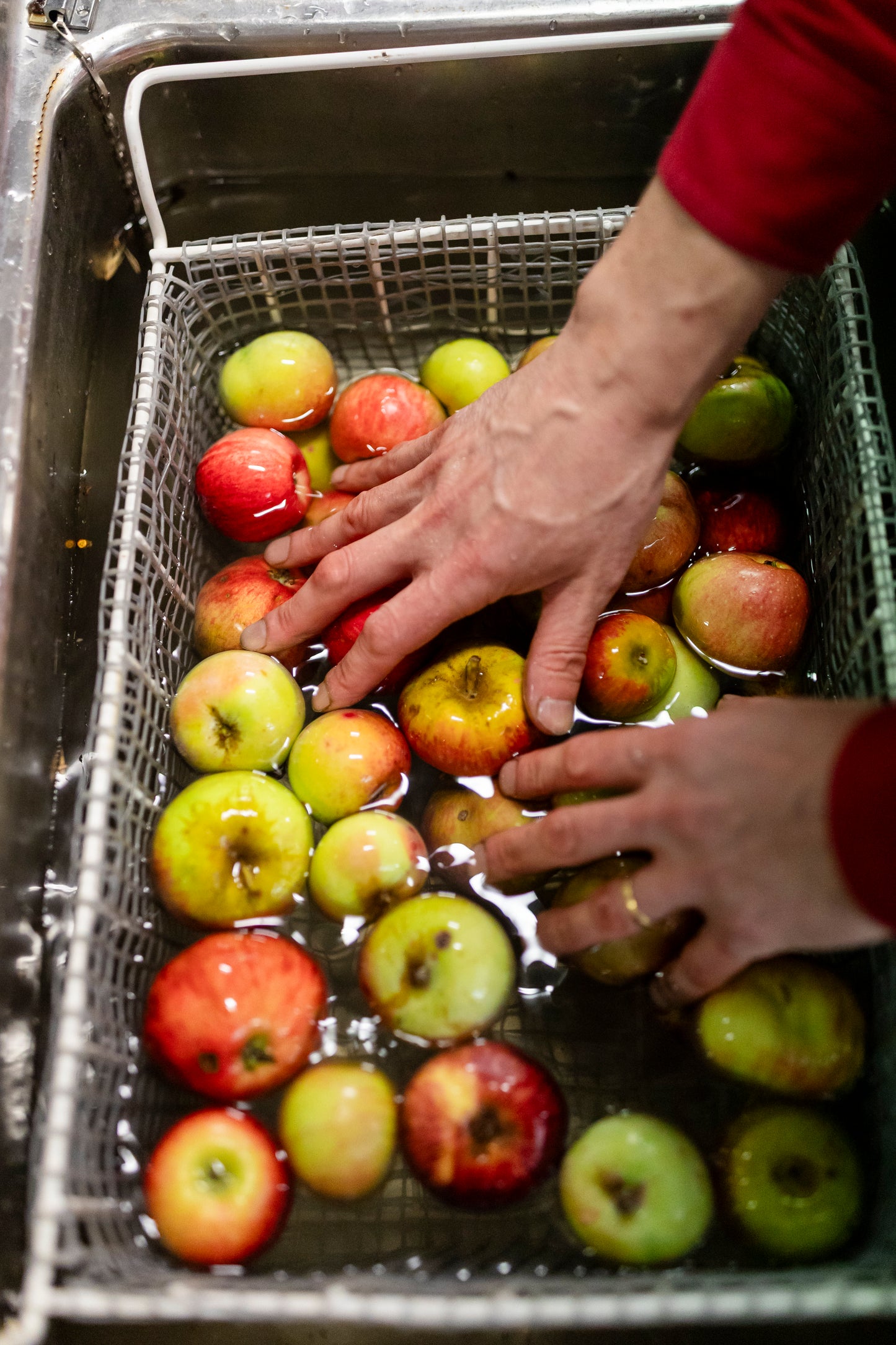 F.O.O.D Week Hands On Cider Making Workshop