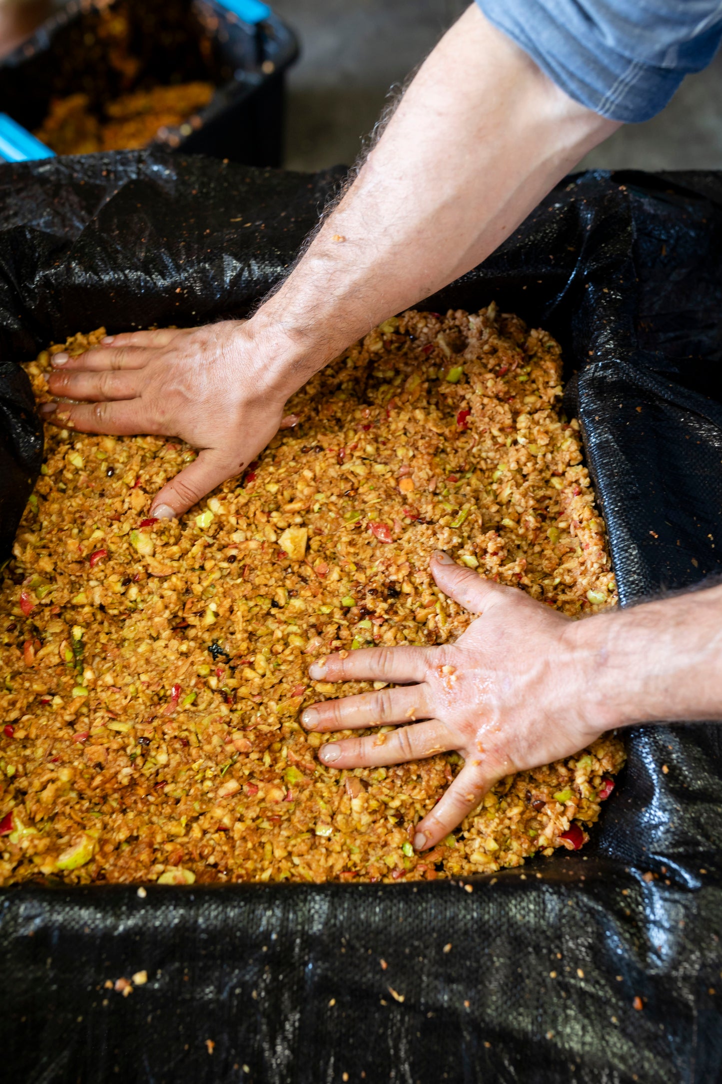 F.O.O.D Week Hands On Cider Making Workshop